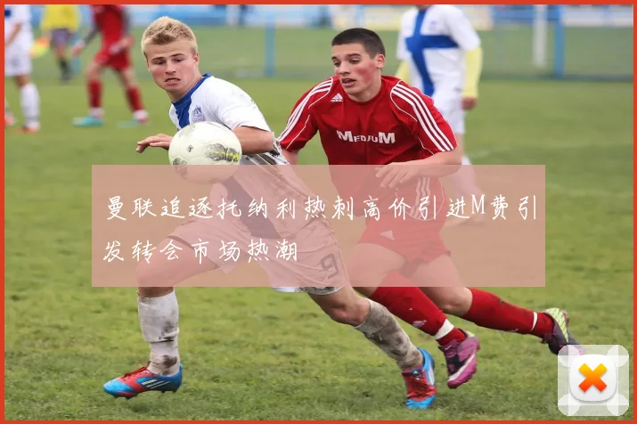 曼联追逐托纳利热刺高价引进M费引发转会市场热潮