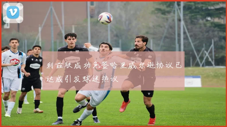 利兹联成功免签哈里威尔逊协议已达成引发球迷热议